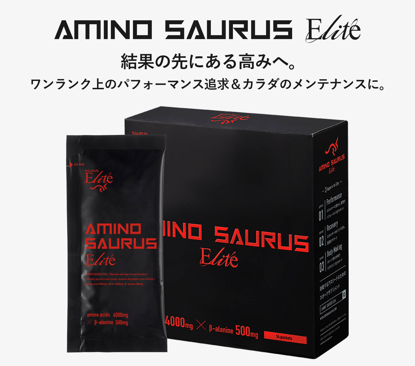 サプリメント SS008 AMINO SAURUS Elite（箱）