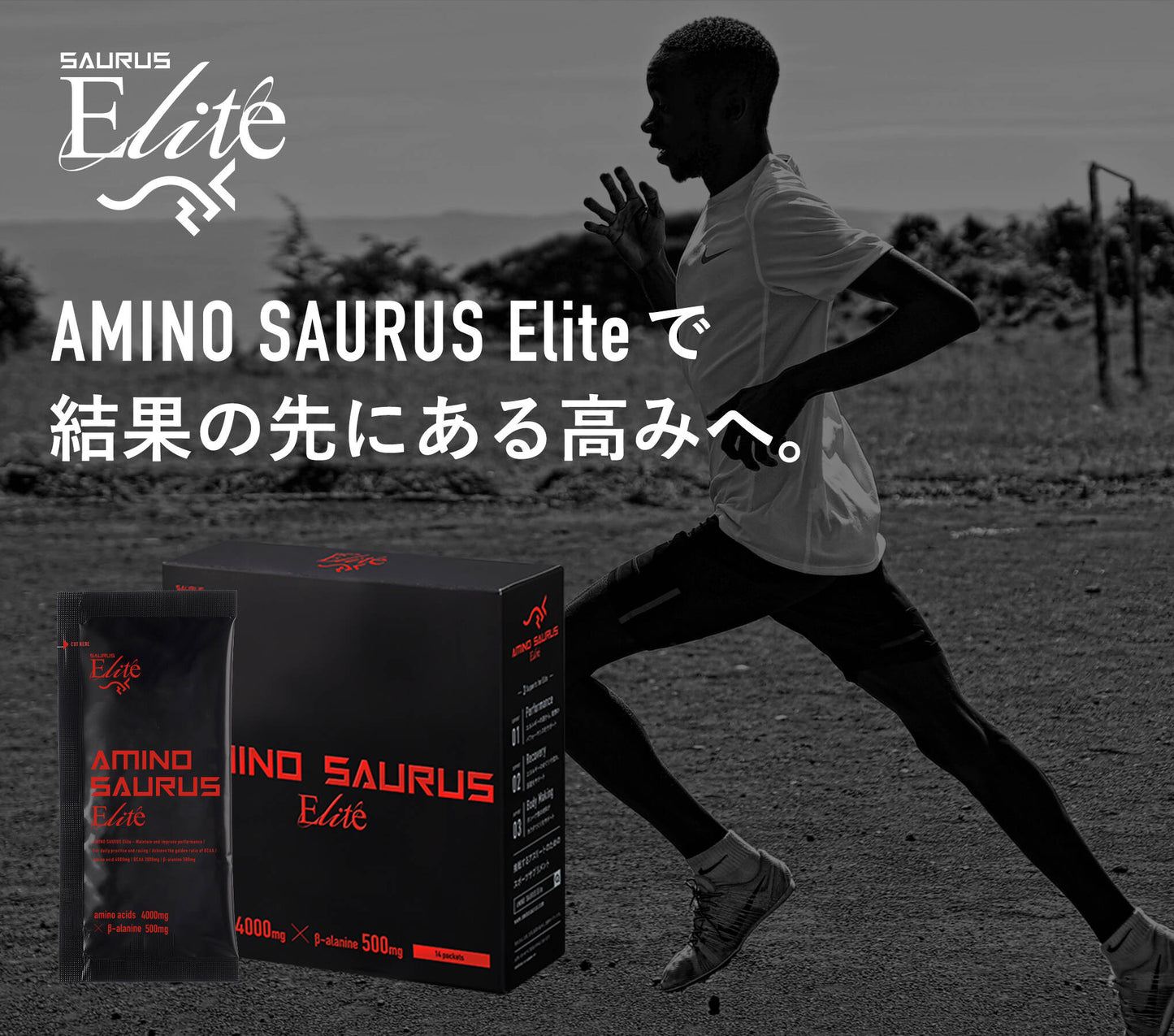 サプリメント SS008-14 AMINO SAURUS Elite（箱）