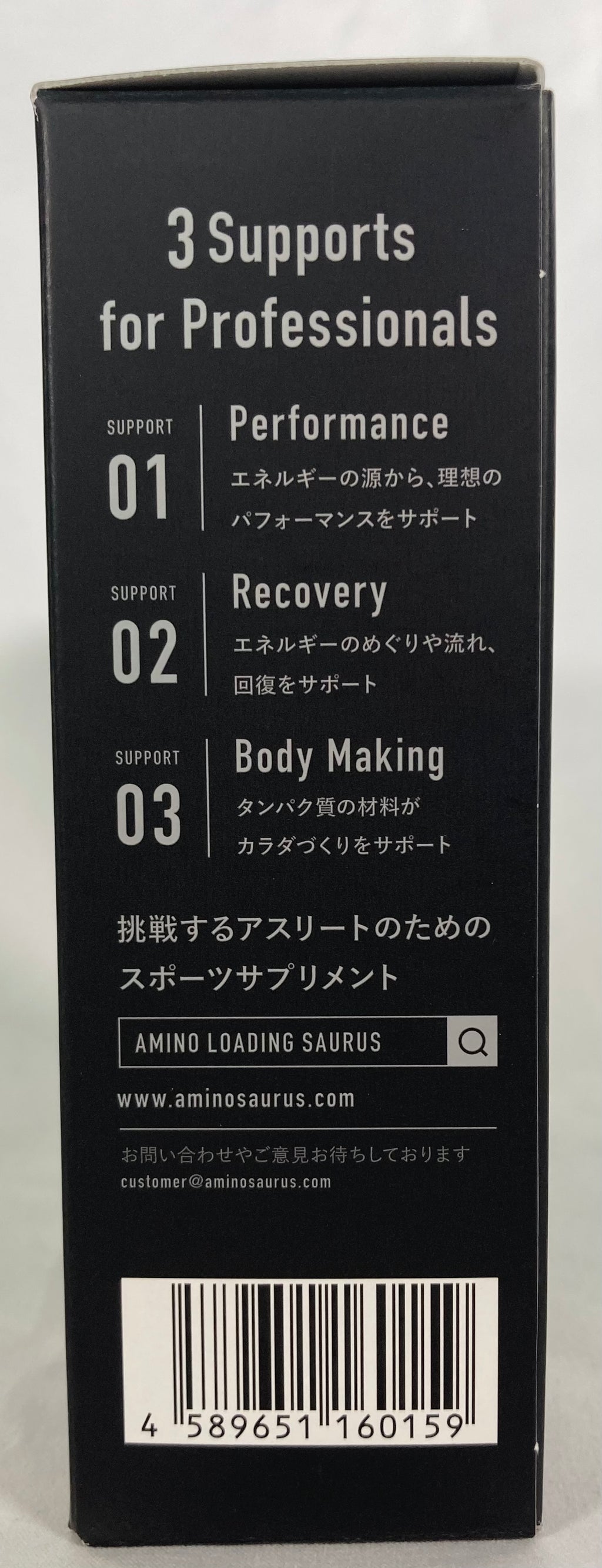 サプリメント SS-005 アミノローディングサウルス（顆粒タイプ14包入） 1本にアミノ酸6000MG(BCAA 3000mg)含有 ヨーグルトサワー風味 Yogurt Flavor