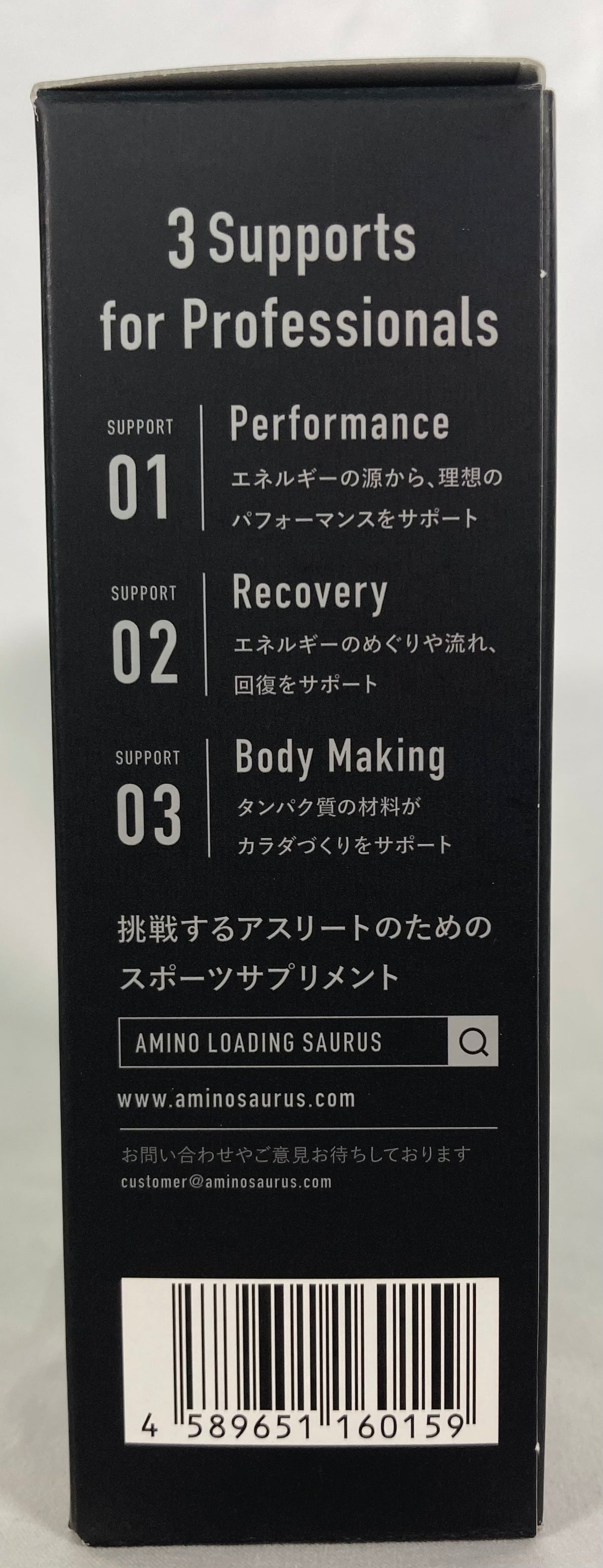 サプリメント SS-005 アミノローディングサウルス（顆粒タイプ14包入） 1本にアミノ酸6000MG(BCAA 3000mg)含有 ヨーグルトサワー風味 Yogurt Flavor